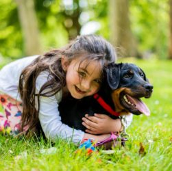 girl in pink jacket playing with black and brown short coated dog on green grass field
